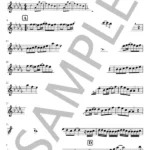 Diamonds/プリンセス プリンセスの楽譜のサンプル画像