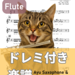 for you…/高橋真梨子楽譜のサンプル画像