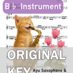 シクラメンのかほり／布施明の楽譜のサンプル画像