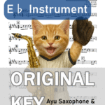 タッチ／岩崎良美の楽譜のサンプル画像