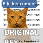 優しい彗星／YOASOBIの楽譜のサンプル画像