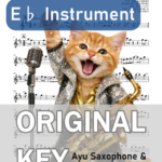 YOUNG MAN (Y.M.C.A.)／西城秀樹の楽譜のサンプル画像