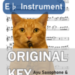 22才の別れ／風の楽譜のサンプル画像