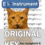 22歳／谷村新司の楽譜のサンプル画像