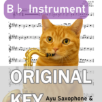 A面で恋をして／ナイアガラ・トライアングルの楽譜のサンプル画像